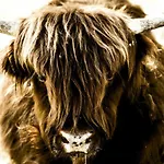 Appartamento I Montanari