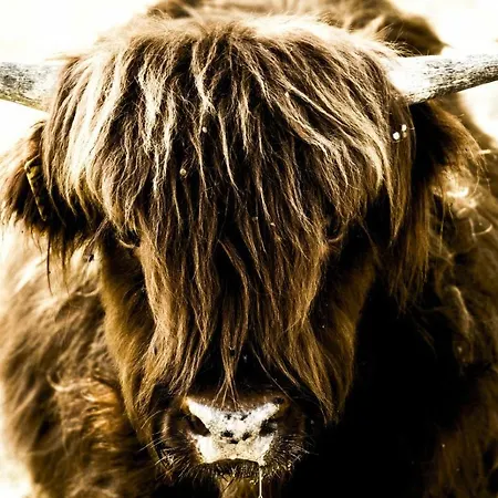 アパート I Montanari