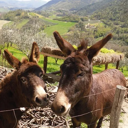 Apartman I Montanari