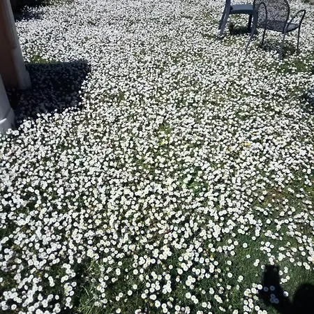 Apartman I Montanari