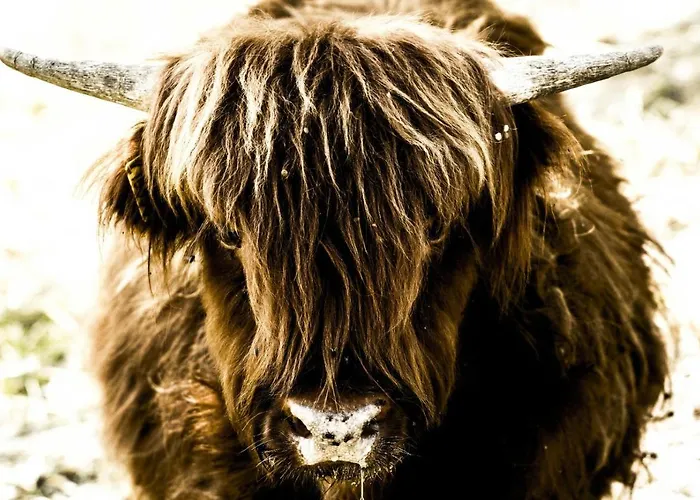 Apartmán I Montanari