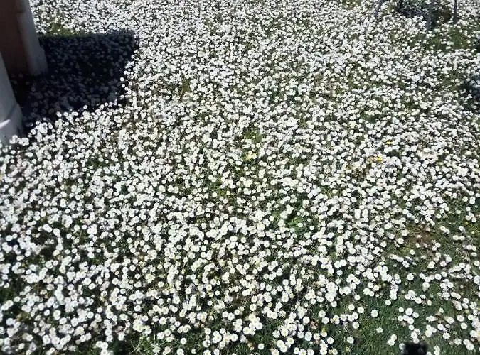 Apartmán I Montanari